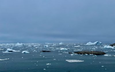 Arctic Ice Melt Explained: What Happens If It Disappears?
