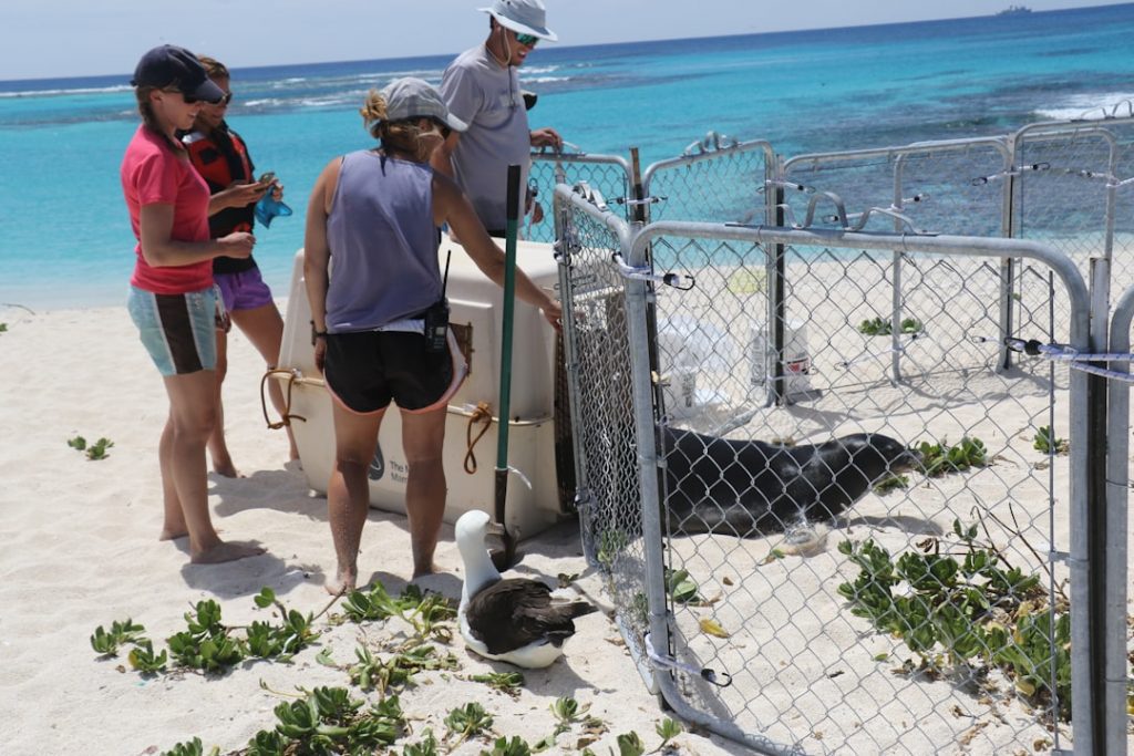 Photo Climate Change and Ocean Warming