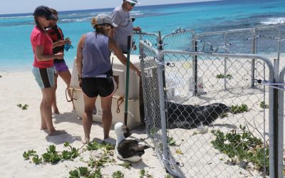 Climate Change and Ocean Warming: The Hidden Crisis Beneath the Surface