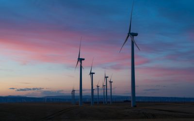 Carbon Emissions Explained: What Are They and Why Do They Matter?