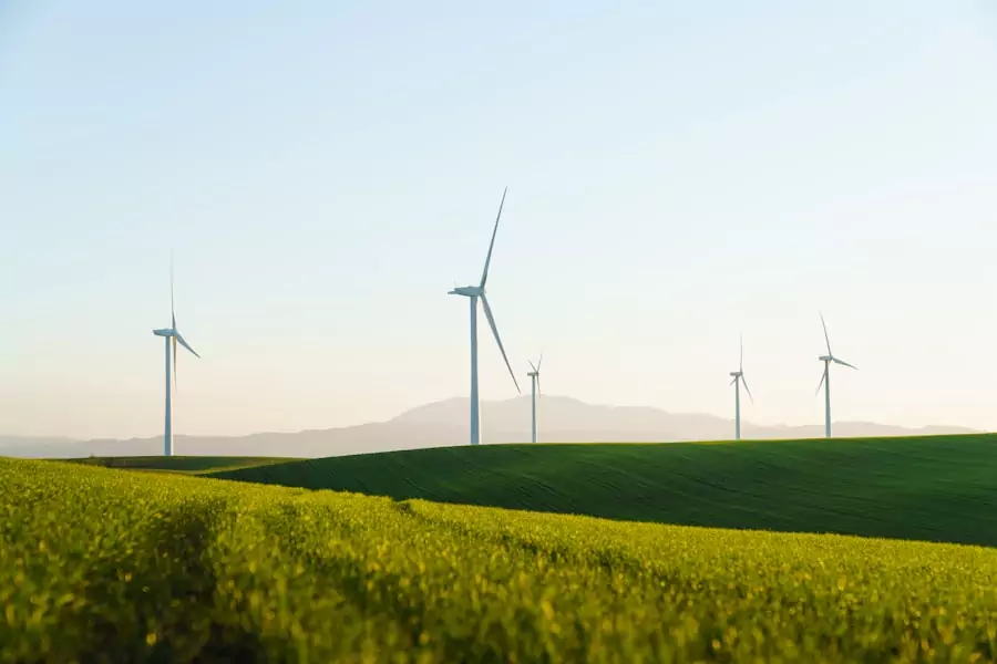 Renewable Energy Producers